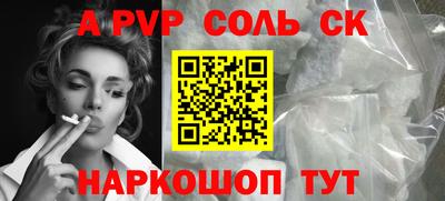 индика Сланцы