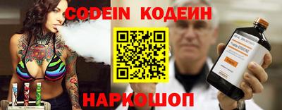 индика Сланцы