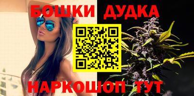 индика Сланцы
