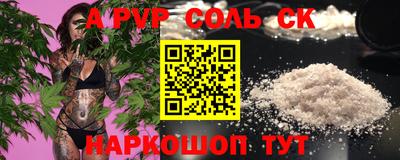 индика Сланцы