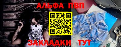 индика Сланцы