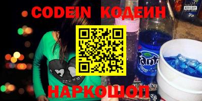 индика Сланцы
