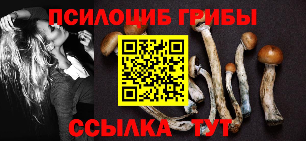 Галлюциногенные грибы Cubensis Ярцево