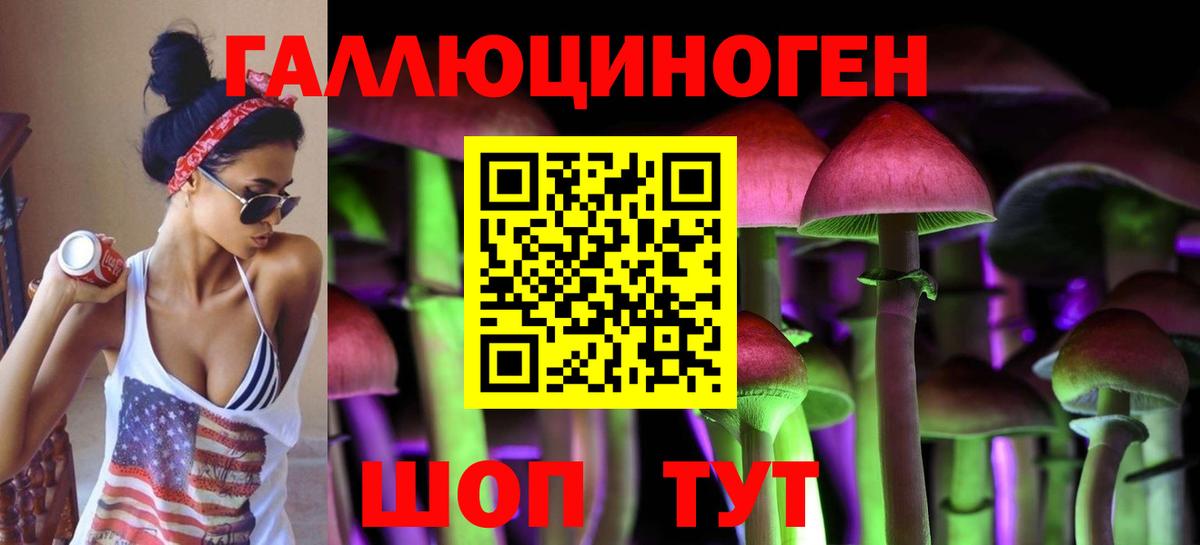 Ярцево  Псилоцибиновые грибы Psilocybe  Вход с VPN 